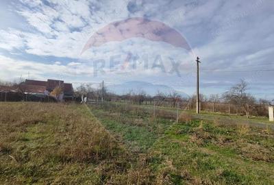 Teren de 1330 mp, în Drăgoiești - 2