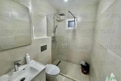 Spatiu comercial de inchiriat in Drumul Taberei - 10