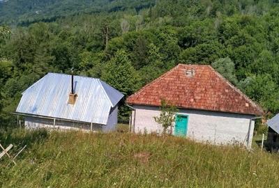 Casă cu 3 camere în Vadu Oii - 6