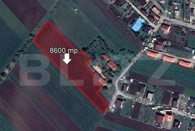 Teren intravilan Stupini, 8600 mp - 1