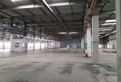 Spațiu comercial, de 20,000 mp, în Timișoara - 18
