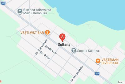 Casă cu 5 camere cu Teren 700 Mp în Sultana - 1