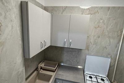 Garsoniera prima chirie Pta Alba Iulia - Muncii DB1319 - 5