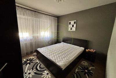 Apartament cu 2 camere decomandat, mobilat în George Enescu - 3