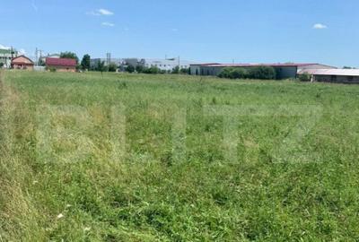 Teren Extravilan de Vanzare 40 Arii Strada Spicului - 2