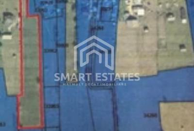 Teren intravilan in Dorna-Arini , Suceava - 1