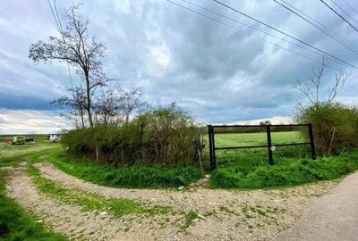 Teren Construcții intravilan de 4000 mp, în Cioranii de Jos