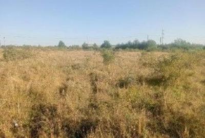 Targu Neamt, Punct Manesti, cota parte 1/2, ID: R2759104 - 4