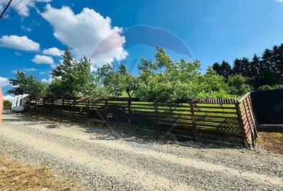 Teren de 1600 mp, în Sighetu Marmației - 2