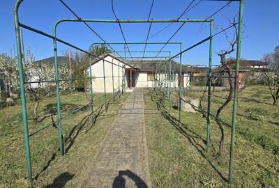 Casă cu 4 camere cu Teren 1917 Mp în Corbu - 14