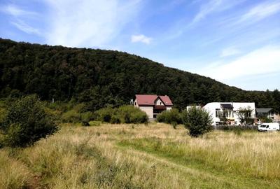 Teren Construcții intravilan de 6800 mp, în Săcele - 5