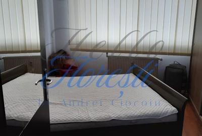 Apartament cu 2 camere decomandat în Dosu Bricii
