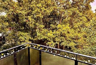 Reco, Apartament 2 camere de inchiriat,  Sovata - 7