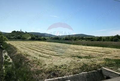 Teren de 15360 mp, în Blăjel - 3