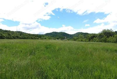 Teren de 16000 mp, în Borlovenii Noi - 7