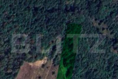 Teren de 4172 mp, în Central - 3