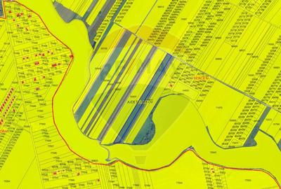 Teren Construcții intravilan de 11906 mp, în Berceni - 10