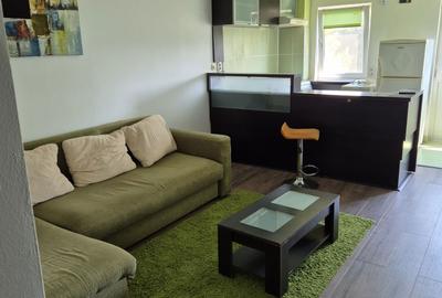 Garsonieră în Calea București - 6