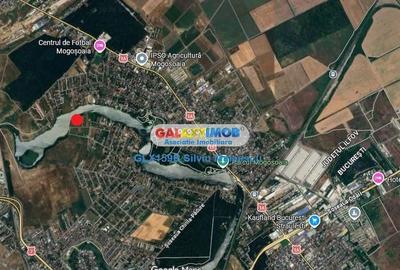 Spațiu comercial, în Mogoșoaia