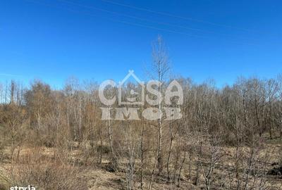 Teren de 6000 mp, în Petrești - 5