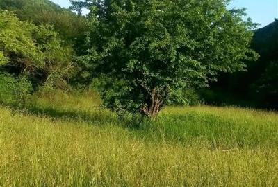 Vanzare teren intravilan 1540 mp in Faget - zona Sf Ion - 3