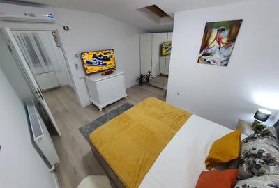 Apartament cu 2 camere semidecomandat, mobilat în Parcul Carol - 2