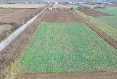 Teren de 6600 mp, în Lazuri - 7