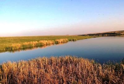 Teren intravilan de 40000 mp, în Muncii