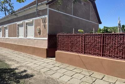 Casă cu 5 camere în Peciu Nou - 5