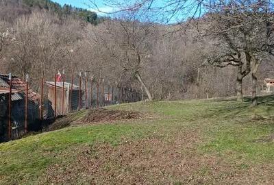 Casă cu 3 camere în Turcinești - 2