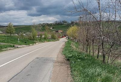 Teren de 3150 mp, în Răchiți - 1