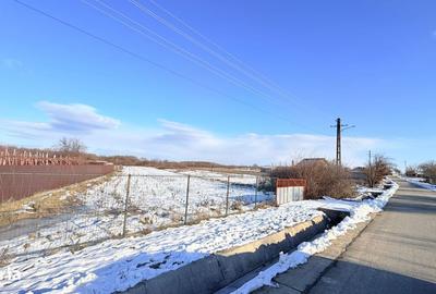 Teren de 5238 mp, în Dănești - 3