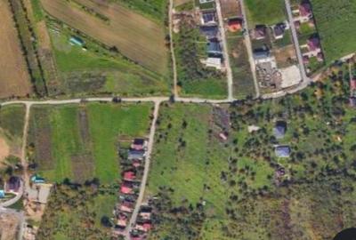 Vand teren dambu rotund 900 sau 1500 mp - 1