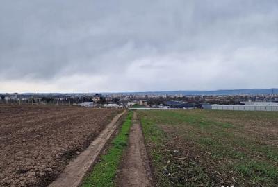 Teren de 10000 mp, în Vest - 13