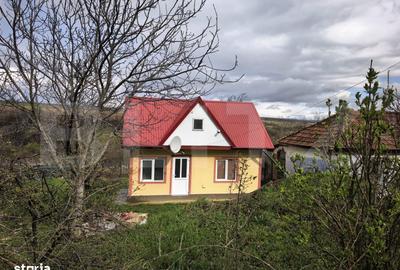 Casă cu 2 camere cu Teren 1154 Mp în Schitu Duca - 1