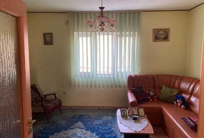 Casa de vanare, zona linistita vedere la Dunare - 5