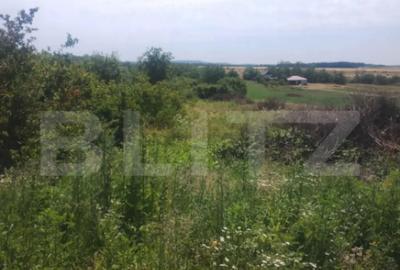 Teren de 1918 mp, în Ardud - 3