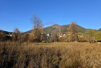 Teren 6,874mp Alexandru cel Bun / Strada plopusor - 10