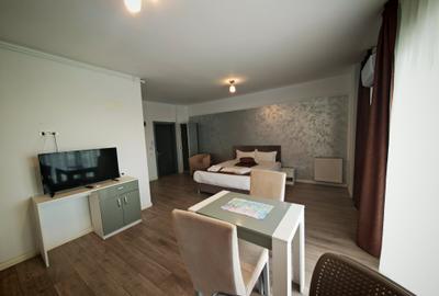 Garsoniera utilata si mobilata Mamaia Nord Phoenicia - 6