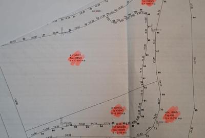 Spațiu comercial, în Otvești