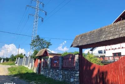 Casă cu Teren 1350 Mp în Poiana Țapului - 9