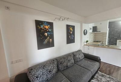 Apartament cu 2 camere decomandat în Nord - 19