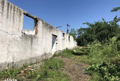 Teren de 8160 mp, în Rădoiești - 3