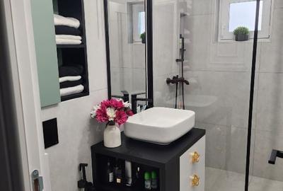Apartament cu 2 camere decomandat, mobilat în Girocului - 10
