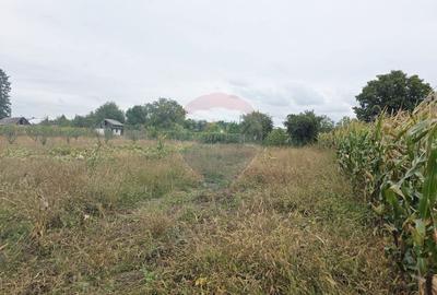 Casă individuală cu 4 camere cu Teren 6110 Mp în Girov - 48