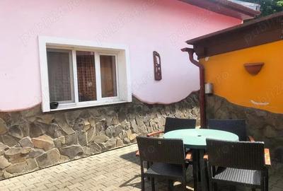 Vand casa in Dambul Pietros,singur in curte - 3