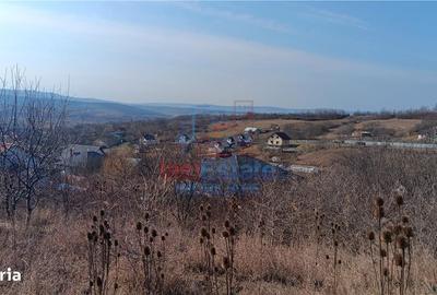 Spațiu comercial, în Cercu - 6