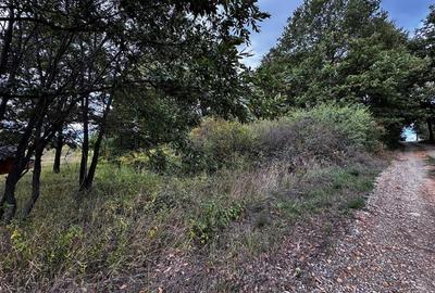 RECO, Teren intravilan, Zona Vadu Crisului, Bihor - 4