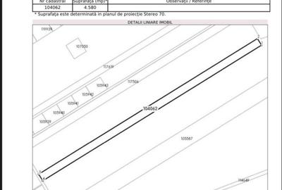 Spațiu comercial, în Domnești