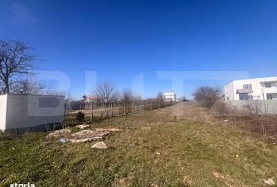 Teren de 3000 mp, în Coșoveni - 1